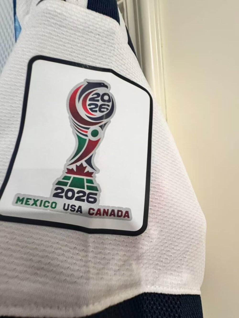 2026 World Cup Argentina No 10 Soccer Jersey M - Picture 6 of 8